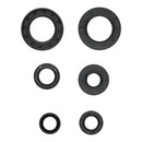 Oil Seal Kit 822391