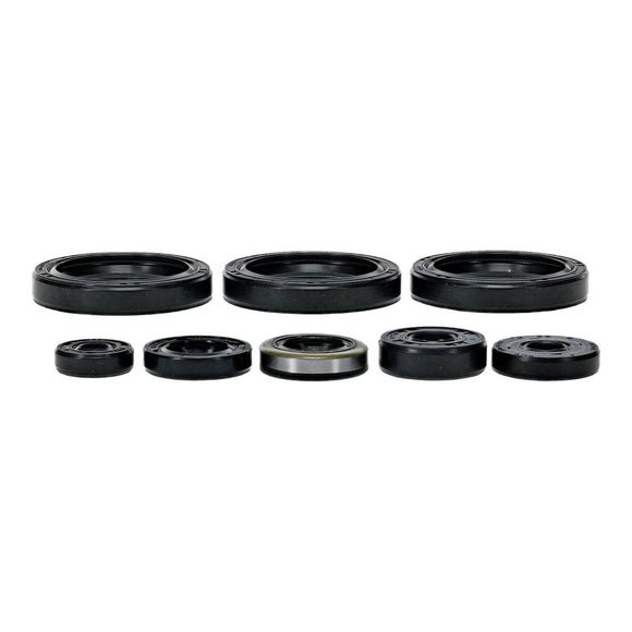 Oil Seal Kit 822403
