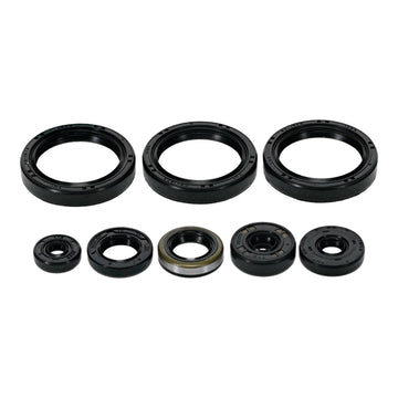 Oil Seal Kit 822403
