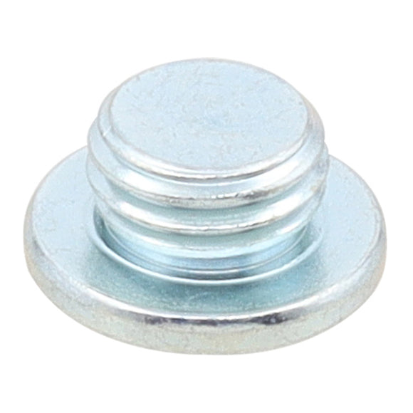 Whites Magnetic Drain Plug M10 x 5 - P1.25