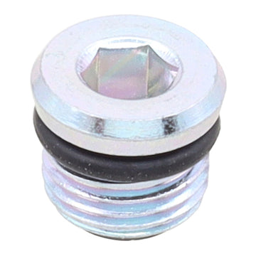 Whites Magnetic Drain Plug M10 x 6.9 - P1.0