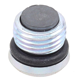 Whites Magnetic Drain Plug M10 x 6.9 - P1.0