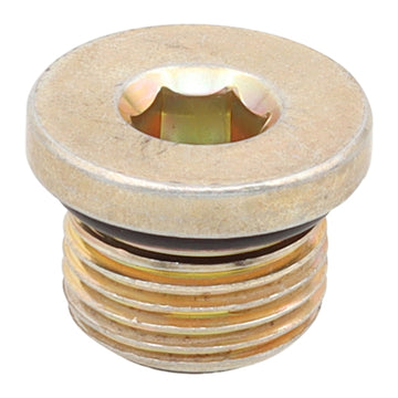 Whites Magnetic Drain Plug M18 x 12.4 - P1.5