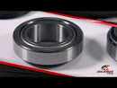 All Balls Racing Steering Head Bearing Kit (22-1008)