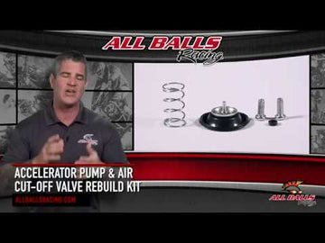 All Balls Racing Accelerator Pump Rebuild Kit (46-3002)
